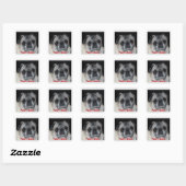 Pugs & Kisses Sticker (Vel)