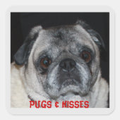 Pugs & Kisses Sticker (Voorkant)