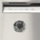 Pugs magneet (Insitu (Vaatwasser))