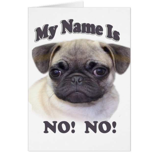 Pugs Name is NEE! NEE! (Voorkant)