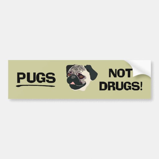 Pugs niet drugs Bumpersticker (Voorkant)