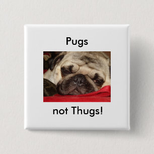 Pugs niet Thugs! speld Vierkante Button 5,1 Cm