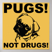Pugs Not Drugs Funny Poster Sign Sayings (Voorkant)