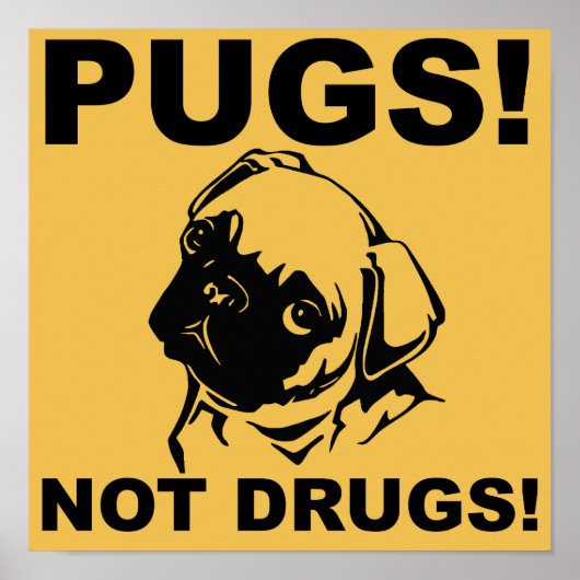 Pugs Not Drugs Funny Poster Sign Sayings (Voorkant)