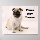 Pugs Not Drugs Poster (Voorkant)