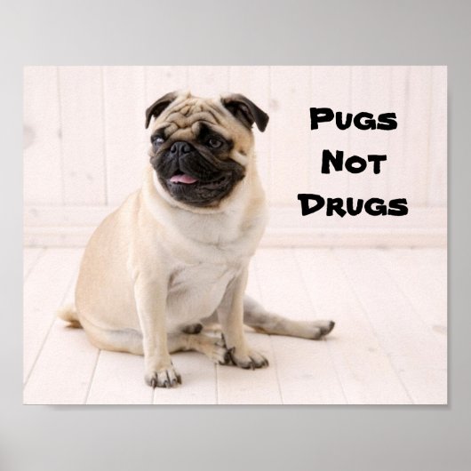 Pugs Not Drugs Poster (Voorkant)