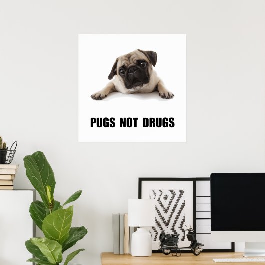 Pugs not Drugs Poster (Thuiskantoor)