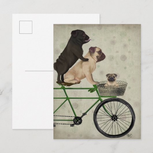 Pugs op fiets briefkaart (Voorkant / Achterkant)