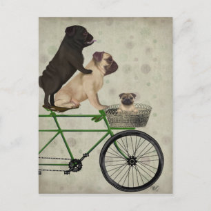Pugs op fiets briefkaart