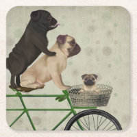 Pugs op fiets