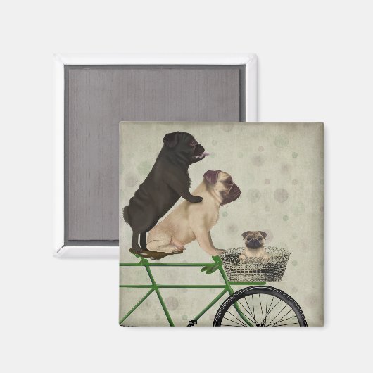 Pugs op fiets magneet (Voorkant / Achterkant)
