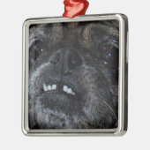 Pugs Parly White Teeth Ornament (Links)