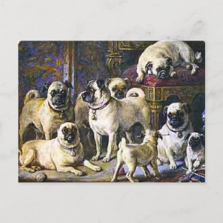 Pugs van Drumpellier Briefkaart