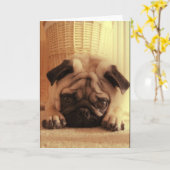 Pugs van SweetPea Wenskaart Kaart (Gele Bloem)