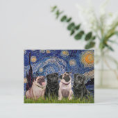 Pugs (Vier,2B,2F) - Sterrennacht Briefkaart (Staand voorkant)