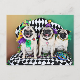 Pugsgiving Mardi Gras 2015 - Hambone Coco Olivia - Briefkaart