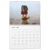 Pugventure Foto 2019: Expeditie Kalender (Mar 2027)