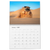 Pugventure Foto 2019: Expeditie Kalender (Jan 2027)