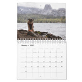 Pugventure Foto Hindsight's kalender voor 2020 (kl (Feb 2027)