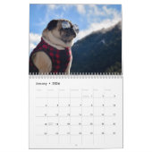 Pugventure Foto Hindsight's kalender voor 2020 (Me (Jan 2026)
