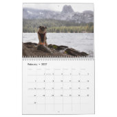 Pugventure Foto Hindsight's kalender voor 2020 (Me (Feb 2027)