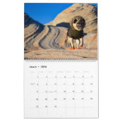Pugventure Photo Calendar 2021: Volgende, alsjebli Kalender (Mar 2026)