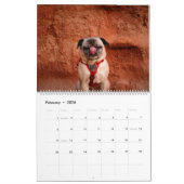 Pugventure Photo Calendar 2021: Volgende, alsjebli Kalender (Feb 2026)