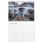 Pugventure Photo Calendar 2021: Volgende, alsjebli Kalender (Jan 2026)