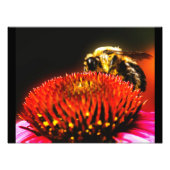 puinhoop foto afdruk (Voorkant)