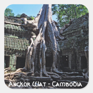 Puinhoop van Ta Prohm - Angkor Wat, Cambodja, Azië Vierkante Sticker