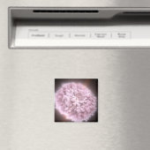 puinwolk van twee neutronensterren magneet (Insitu (Vaatwasser))