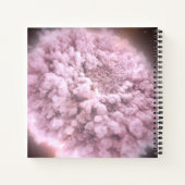 puinwolk van twee neutronensterren notitieboek (Achterkant)