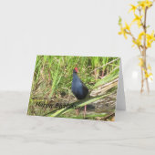 Pukeko Birthday Kaart (Gele Bloem)