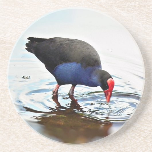 Pukeko Onderzetter (Voorkant)