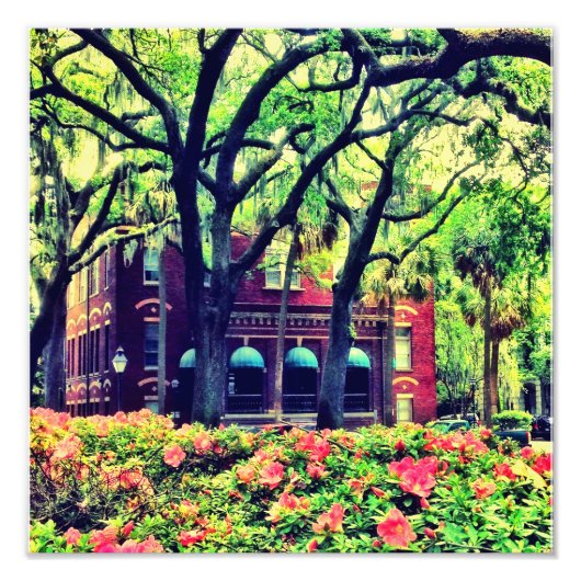 Pulaski Square, Savannah Foto Afdruk (Voorkant)