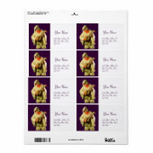 PULCINELLA MET MANDOLIN paars wit Etiket (Full Sheet)