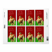 PULCINELLA MET MANDOLIN rood wit Etiket (Full Sheet)