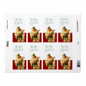 PULCINELLA MET MANDOLIN rood wit Etiket (Full Sheet)