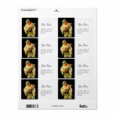 PULCINELLA MET MANDOLIN zwart wit Etiket (Full Sheet)