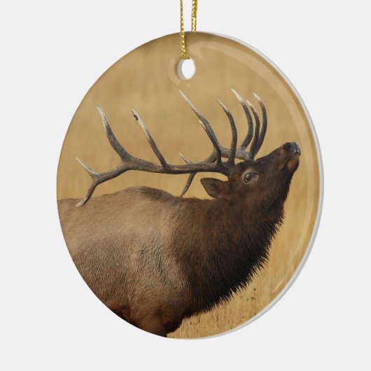 pulelk keramisch ornament (Links)