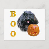 Puli Boo Briefkaart (Voorkant)