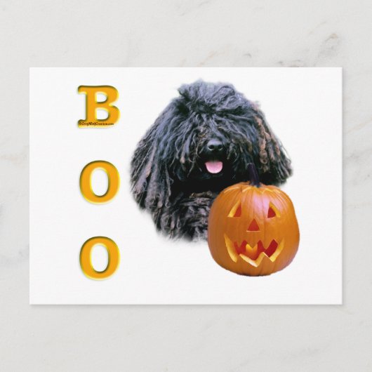 Puli Boo Briefkaart (Voorkant)