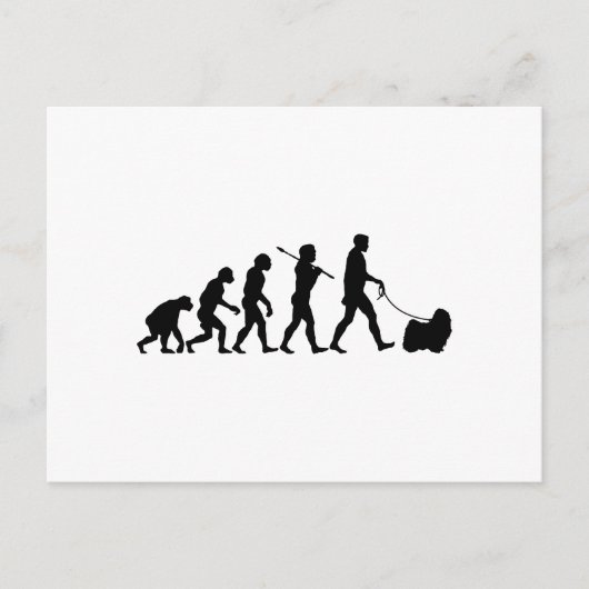 Puli Briefkaart (Voorkant)