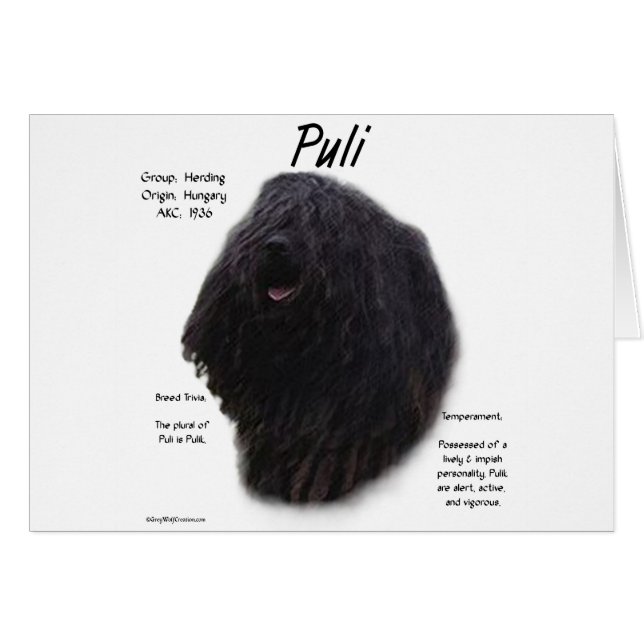 Puli Geschiedenis Ontwerp (Voorkant Horizontaal)