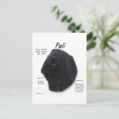 Puli Geschiedenis Ontwerp Briefkaart (Staand voorkant)