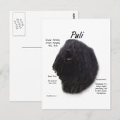 Puli Geschiedenis Ontwerp Briefkaart (Voorkant / Achterkant)