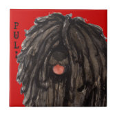 Puli-kleurenblok Tegeltje (Voorkant)