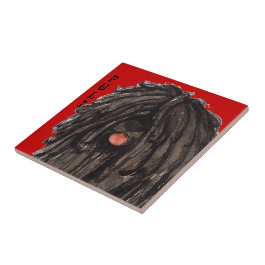 Puli-kleurenblok Tegeltje (Zijkant)