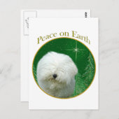 Puli Peace Briefkaart (Voorkant / Achterkant)
