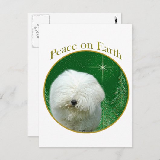 Puli Peace Briefkaart (Voorkant / Achterkant)